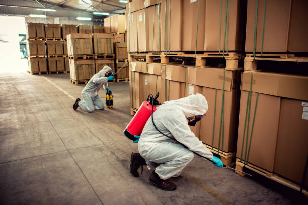 Best Wildlife Control Services  in Sea Cliff, NY