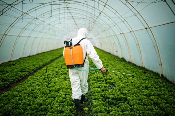 Best Commercial Pest Control Services  in Sea Cliff, NY