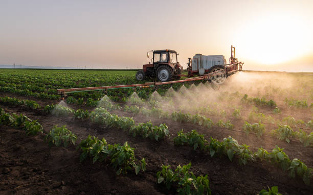 Best Pest Control Treatment  in Sea Cliff, NY