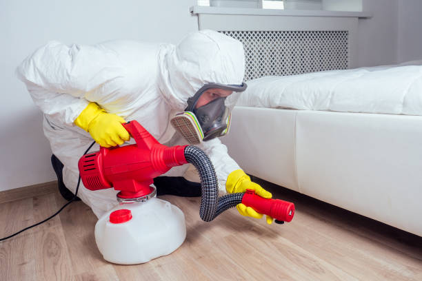 Best Insect Control  in Sea Cliff, NY