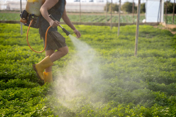 Best Pest Prevention Services  in Sea Cliff, NY