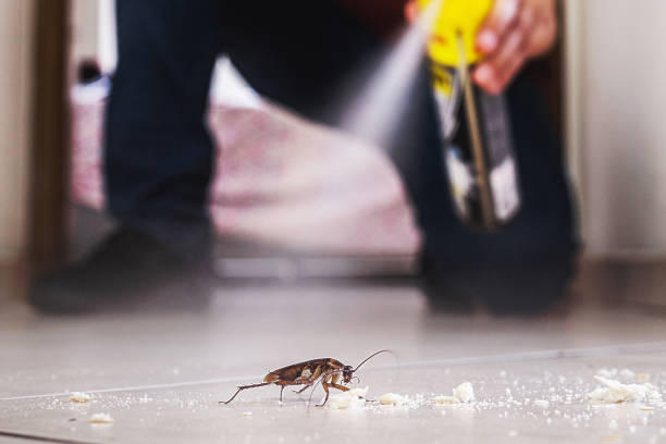 Best Pest Prevention Services  in Sea Cliff, NY